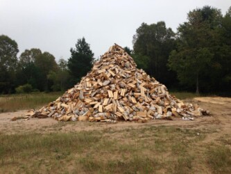 massive pile of cut firewood